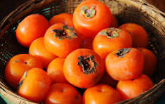 American persimmons